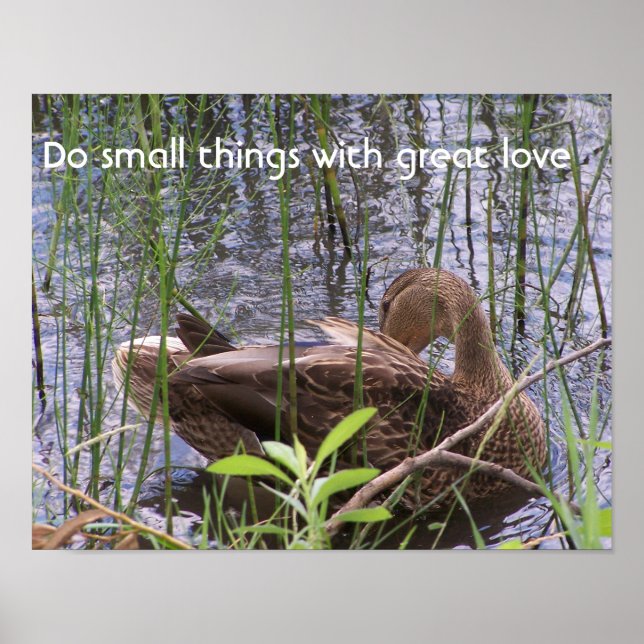 Póster Predicación del pato en los carrizos (Frente)