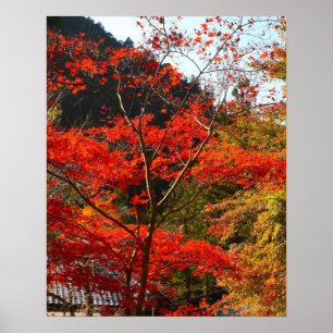 Póster Prefectura de Saitama, Japón