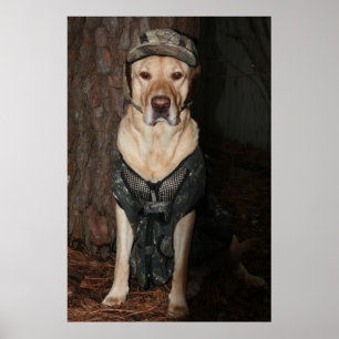 Póster Prefiero estar cazando