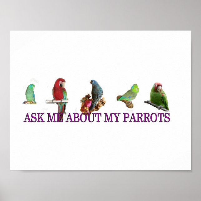 Póster Pregúntame sobre mis loros (Frente)