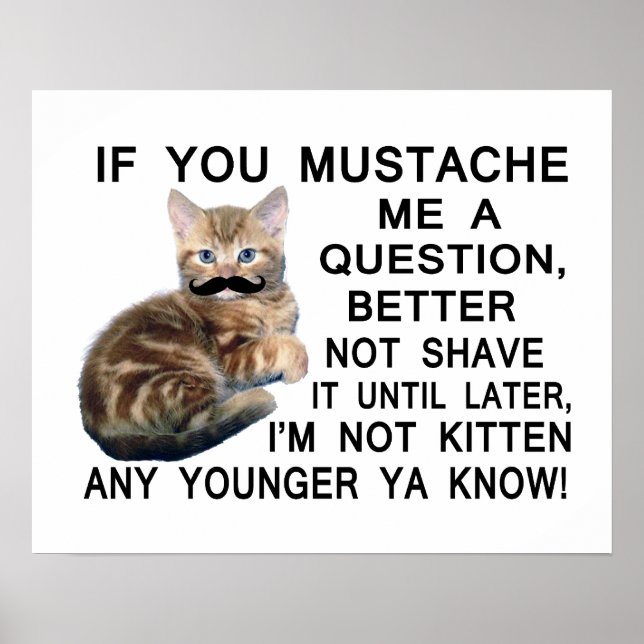 Póster Pregunte Al Gatito Con Un Mustache (Frente)