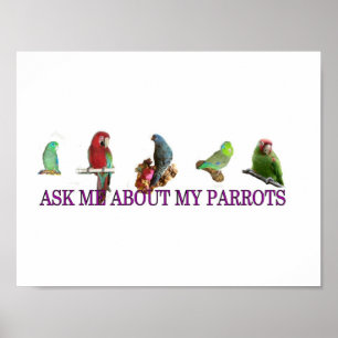 Póster Pregúnteme acerca de mis loros