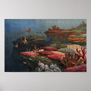 Póster Prehistoric Sea