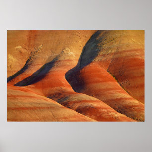 Póster Prehistórico
