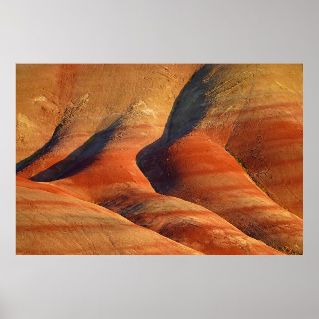 Póster Prehistórico (Frente)