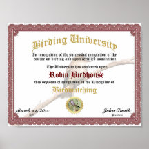 Premio de Certificado de Diploma de Finalización d