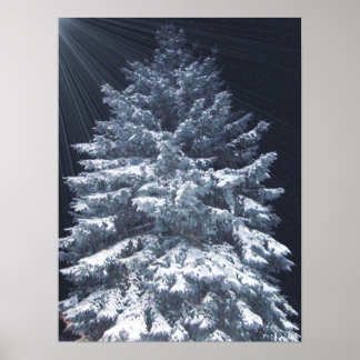 Póster Premio TBA - Luces de pino