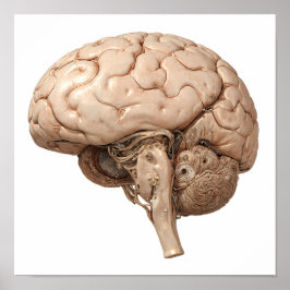 Póster Premium Gilded Design: Luxury Clockwork Organ