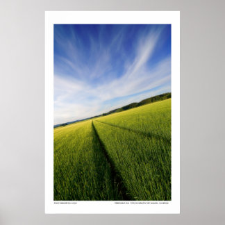 Póster Preparación