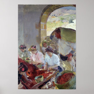 Póster Preparación de las uvas secas, 1890