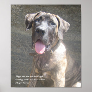 Póster Presa Canario Pup Print