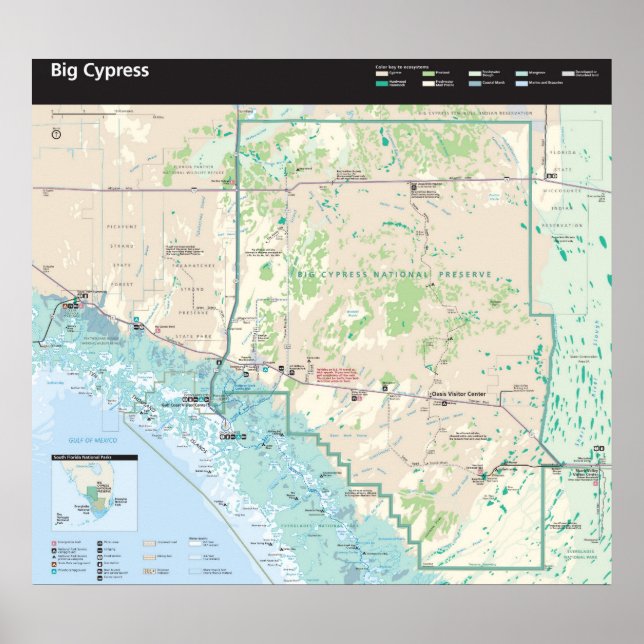 Póster Preservación nacional de Big Cypress (Frente)