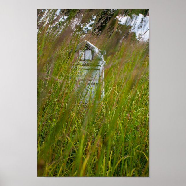 Póster Preservación natural del estado del cementerio de  (Frente)