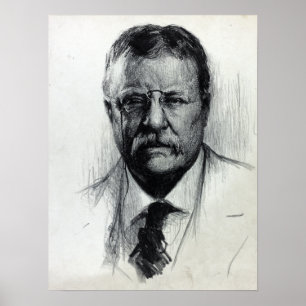 Póster Presidente de la época Theodore Teddy Roosevelt
