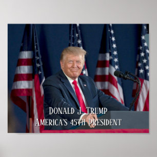 Póster Presidente Donald J. Discurso de Trump Mt Rushmore