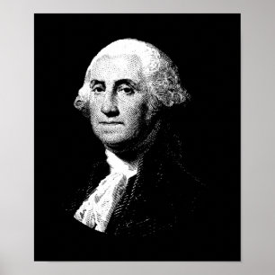 Póster Presidente George Washington Graphic
