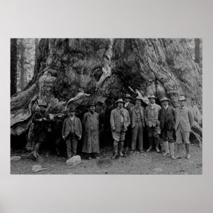 Póster Presidente Roosevelt y John Muir California 1903