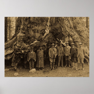 Póster Presidente Roosevelt y John Muir California Sepia