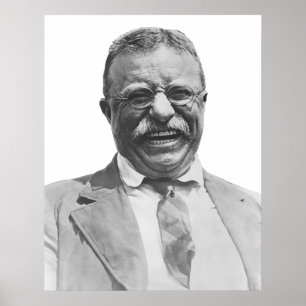 Póster Presidente Teddy Roosevelt