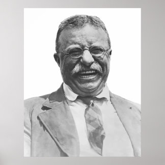 Póster Presidente Teddy Roosevelt