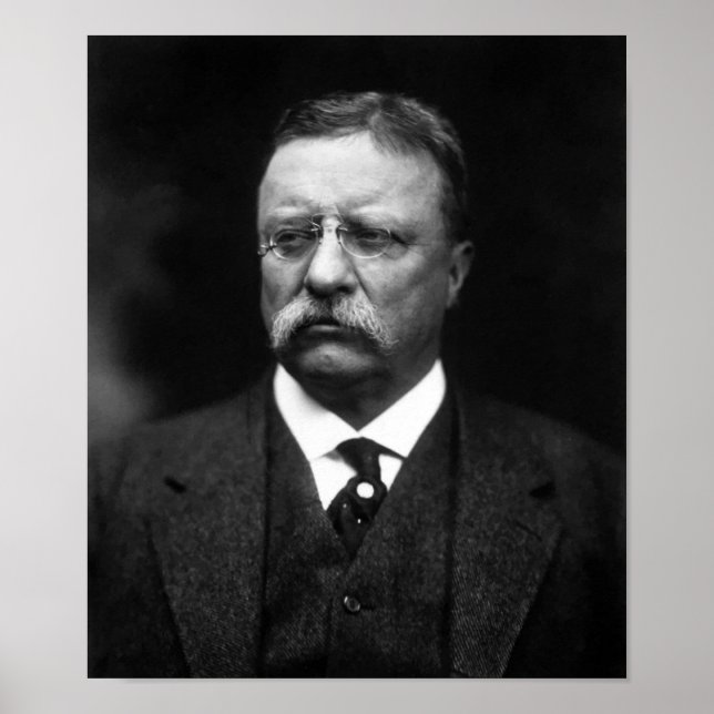 Póster Presidente Teddy Roosevelt (Frente)