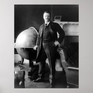 Póster Presidente Theodore Roosevelt