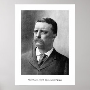 Póster Presidente Theodore Roosevelt