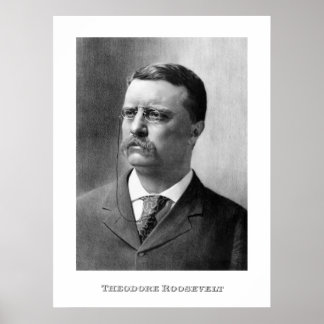 Póster Presidente Theodore Roosevelt