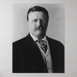 Póster Presidente Theodore Roosevelt - 1904
