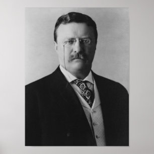 Póster Presidente Theodore Roosevelt - 1904