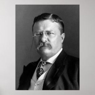 Póster Presidente Theodore Roosevelt Blanco y negro