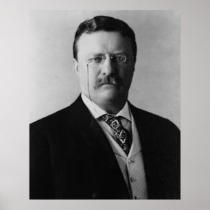 Póster Presidente Theodore Roosevelt Portait