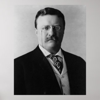Póster Presidente Theodore Roosevelt Portait