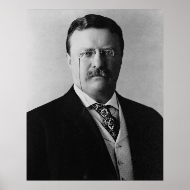 Póster Presidente Theodore Roosevelt Portait (Frente)