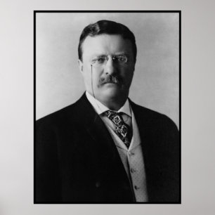 Póster Presidente Theodore Roosevelt Portait