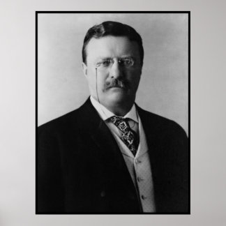 Póster Presidente Theodore Roosevelt Portait