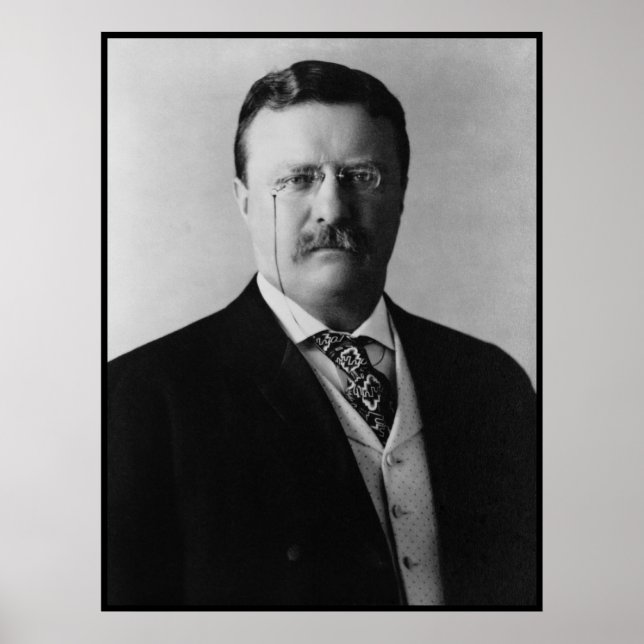 Póster Presidente Theodore Roosevelt Portait (Frente)