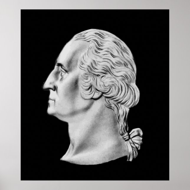 Póster Presidente Washington Bust (Frente)