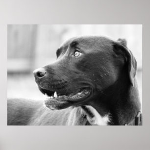 Póster Prestando atención