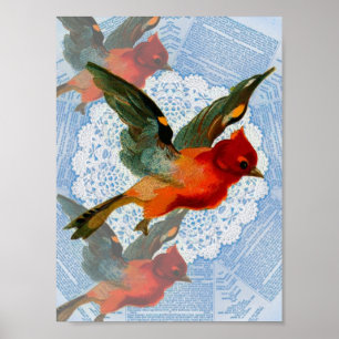 Póster Pretty Birdie
