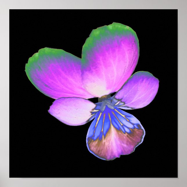 Póster Pretty Pansy Print (Frente)