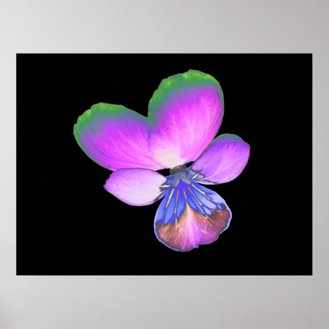 Póster Pretty Pansy Print (Frente)