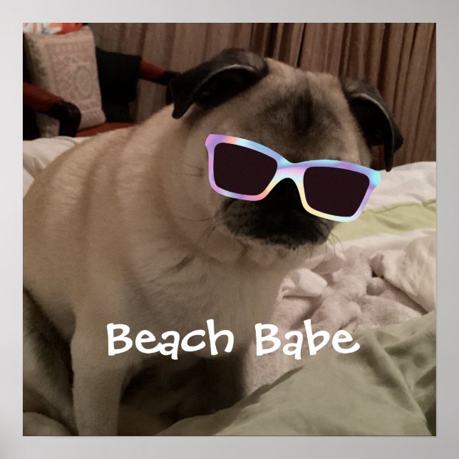 Póster PrettyCute Beach Babe Pug Insertar tu foto Mascota (Frente)