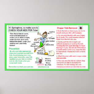 Póster Prevención de la enfermedad de Lyme por Poster de 