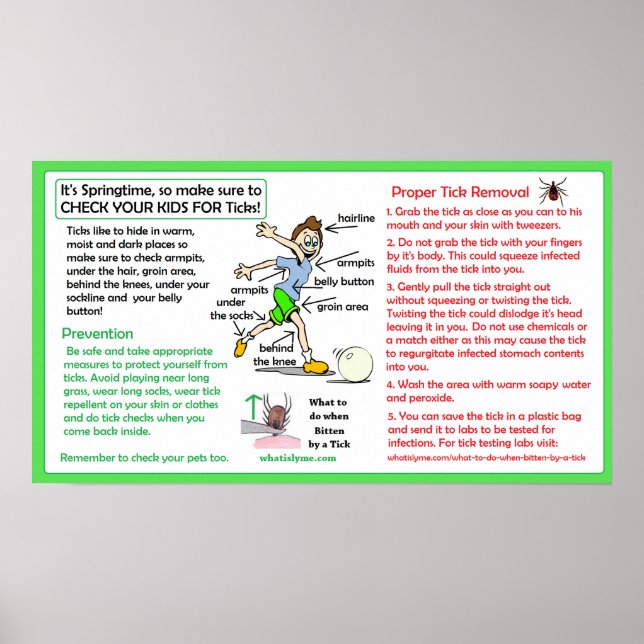 Póster Prevención de la enfermedad de Lyme por Poster de  (Frente)