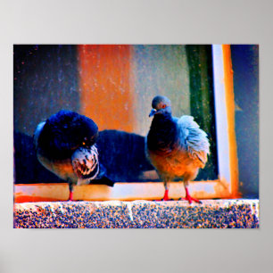 Póster Previendo a las palomas