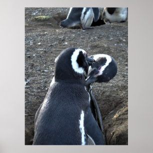 Póster Previendo a los socios