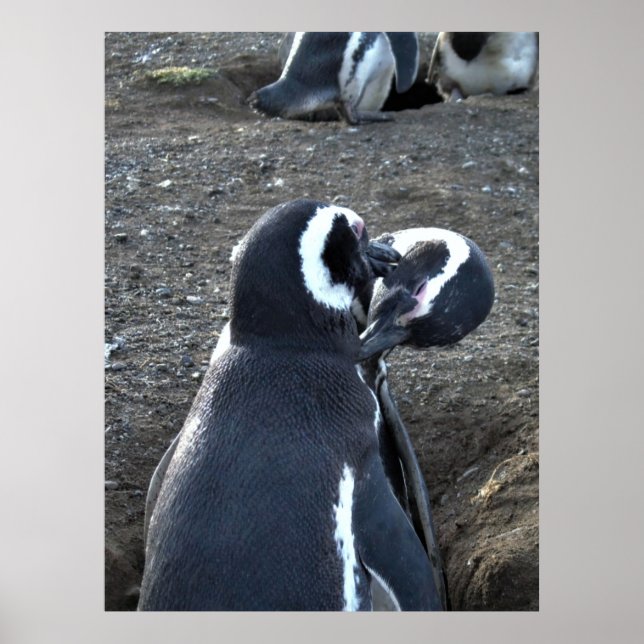 Póster Previendo a los socios (Frente)