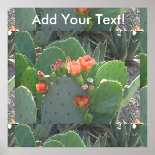 Póster Prickly Pear Cactus Green Red Bloom