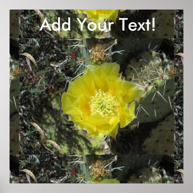 Póster Prickly Pear Yellow Bloom Close (Frente)